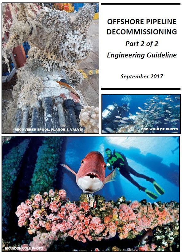 Development of an Engineering Guideline for Offshore Pipeline Decommissioning